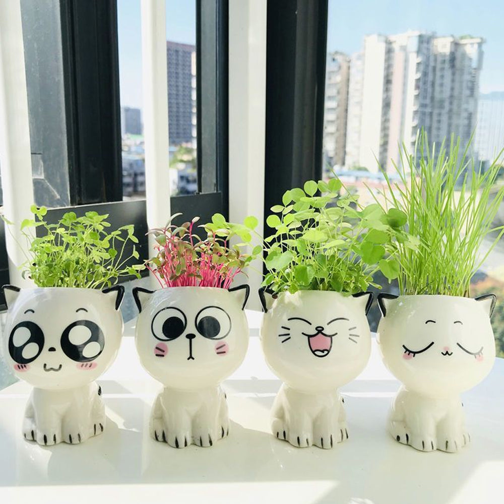 Set 4 Macetas Gato de Dibujos Animados de Cerámica para oficina, pequeña planta verde
