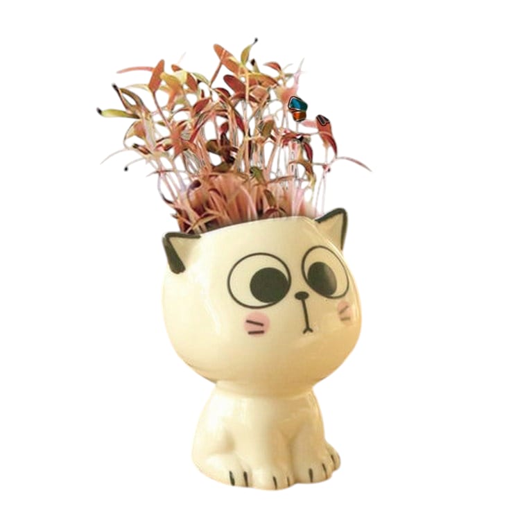 Set 4 Macetas Gato de Dibujos Animados de Cerámica para oficina, pequeña planta verde