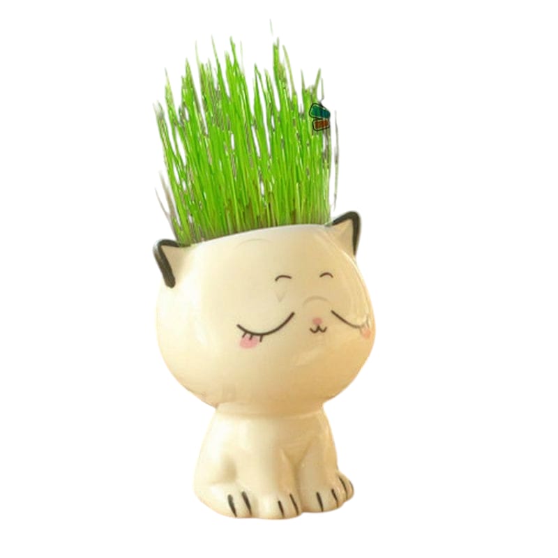 Set 4 Macetas Gato de Dibujos Animados de Cerámica para oficina, pequeña planta verde
