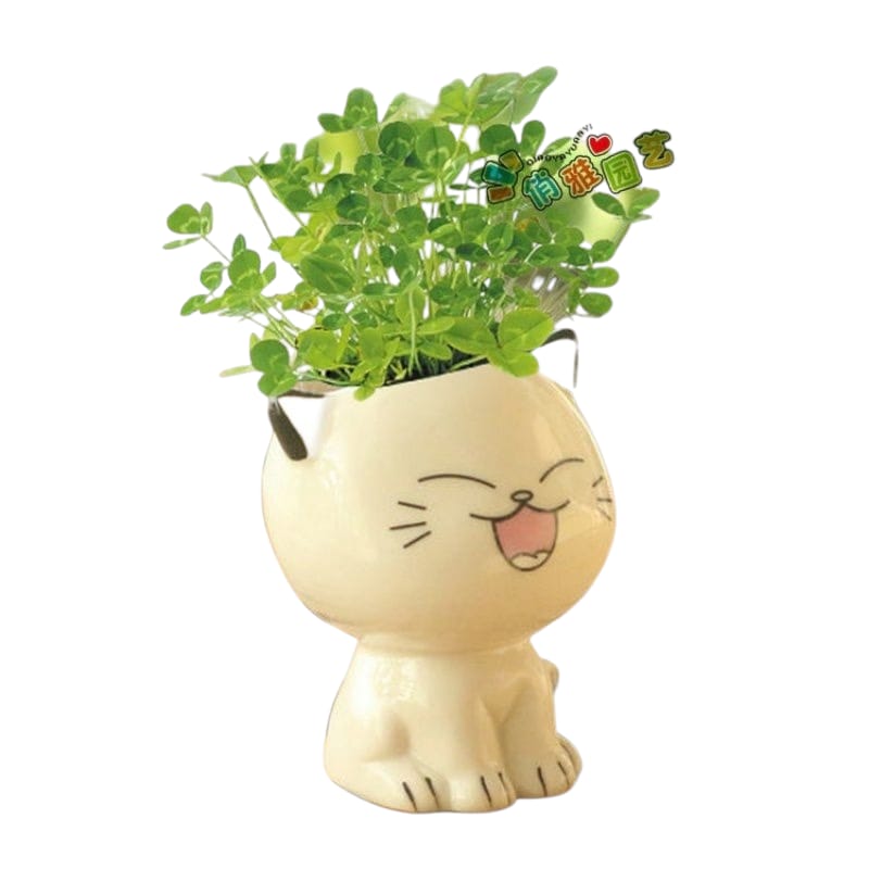 Set 4 Macetas Gato de Dibujos Animados de Cerámica para oficina, pequeña planta verde