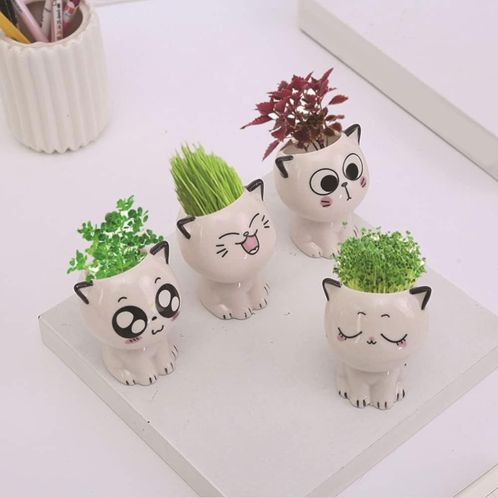 Set 4 Macetas Gato de Dibujos Animados de Cerámica  para oficina, pequeña planta verde