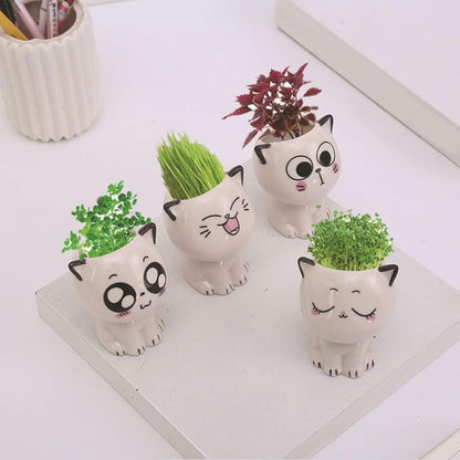 Set 4 Macetas Gato de Dibujos Animados de Cerámica  para oficina, pequeña planta verde