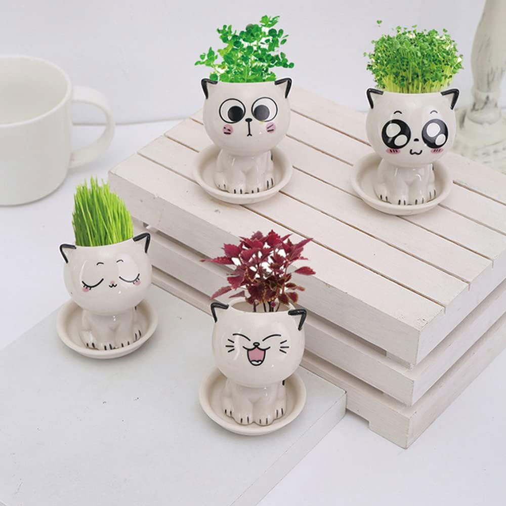Set 4 Macetas Gato de Dibujos Animados de Cerámica  para oficina, pequeña planta verde